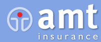 amt - insurance brokers